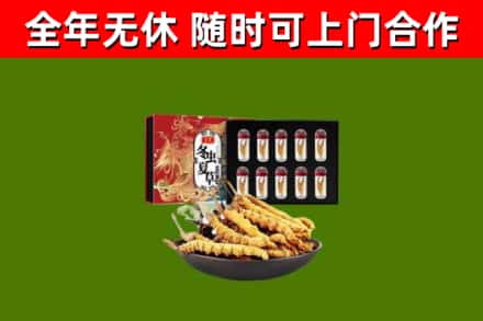 沙湾区回收冬虫夏草价格