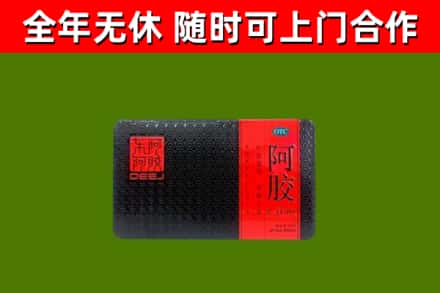 沙湾区回收阿胶