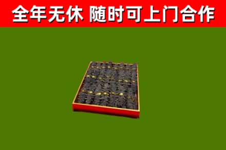 沙湾区回收海参